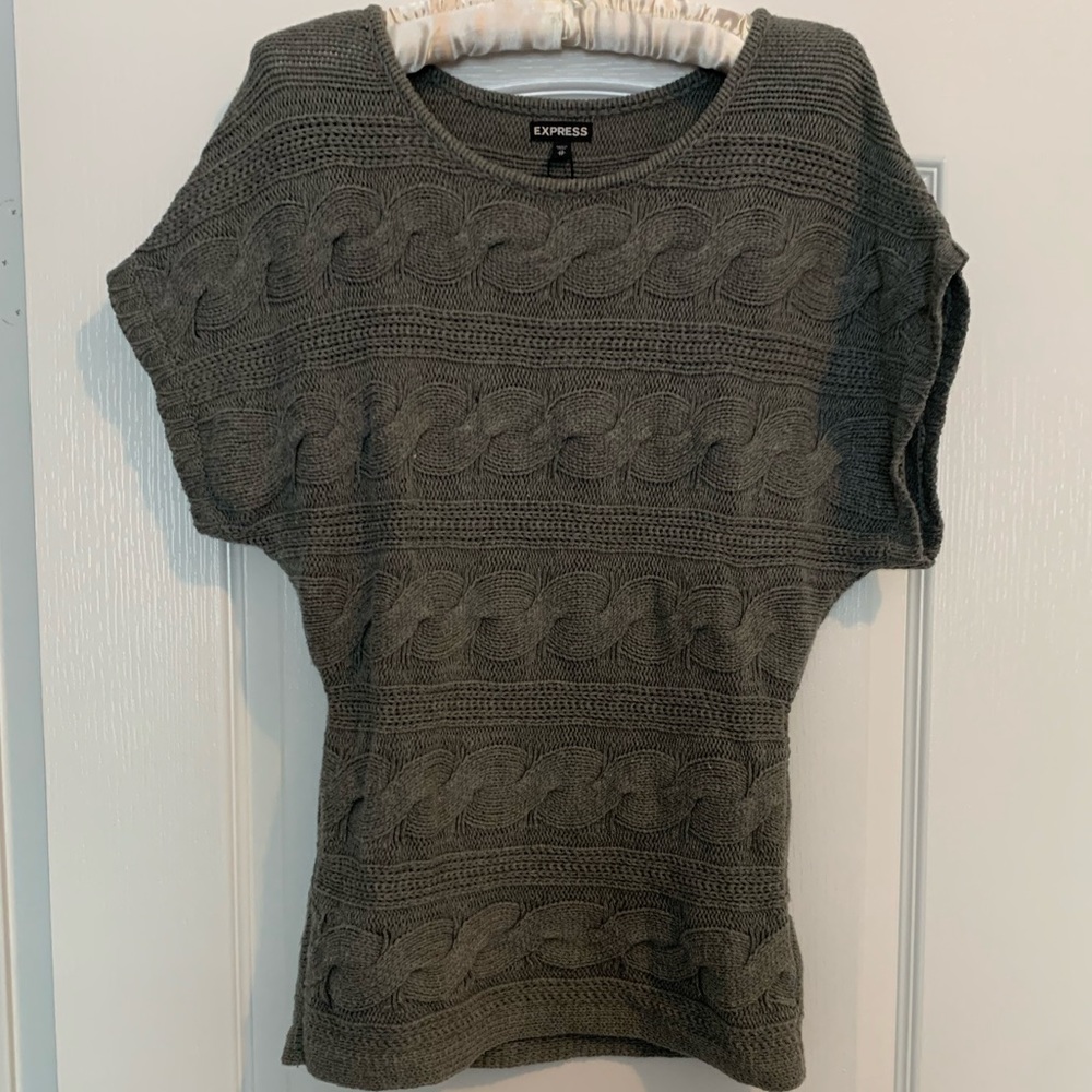 Express grey shortsleeve sweater